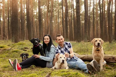 PSY i MY. Szkoła dla psów. Szkolenie psów w Łodzi